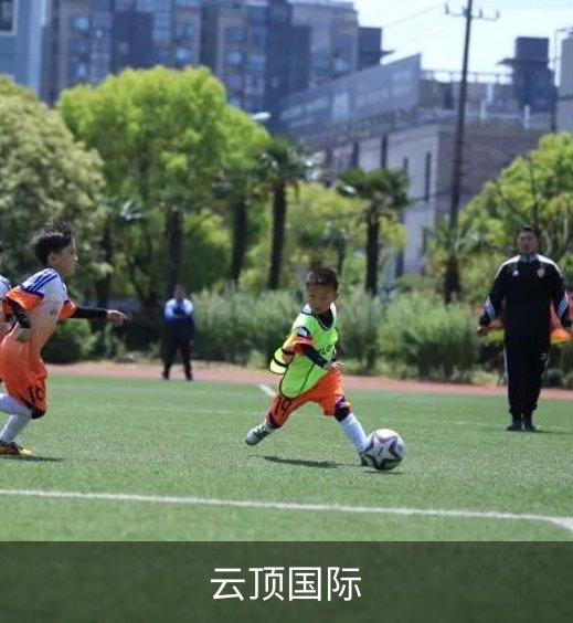 云顶国际简介